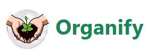 Hivatalos partnerünk az Organify